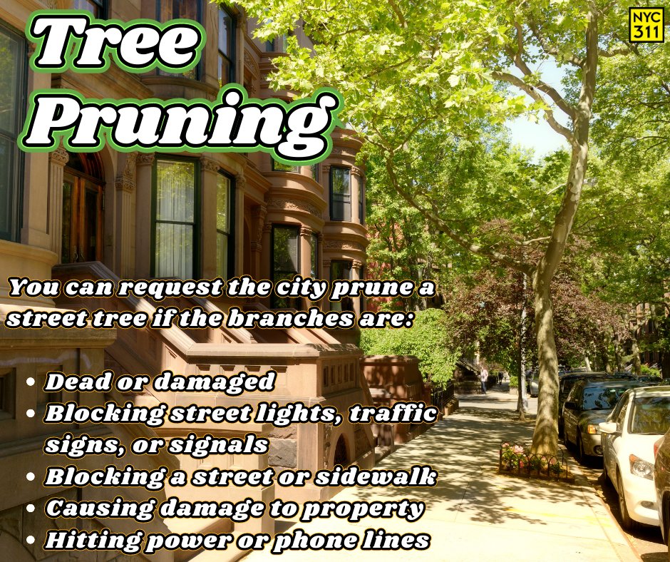 New York City 311 tweet media