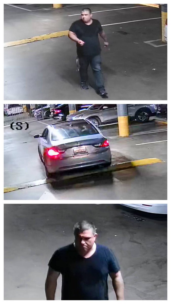 jwylie_15's tweet photo. If anybody knows this fat broke boy in San Diego who broke into my car lmk. Be on the lookout for a blue sdcc backpack and my fungo. Cops ain’t gonna do shit so Twitter it is https://t.co/8zNm9QZD8J