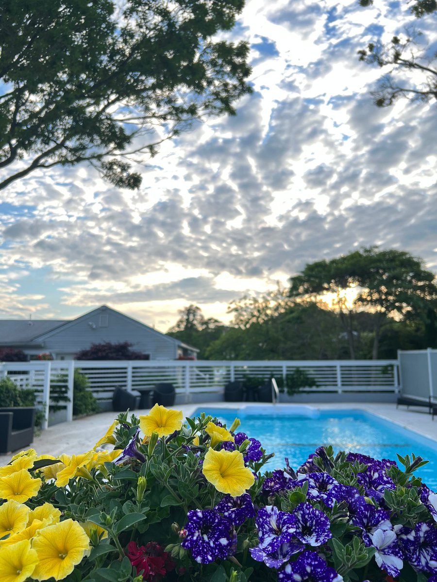 TheDrakeInn's tweet photo. Good morning, anyone ready for a swim at The Drake Inn!

We hope you have a nice day.

#thedrakeinn #goodmorning #thehamptons #hamptonbays #vacationrentalhomes https://t.co/iQ75jiplA8
