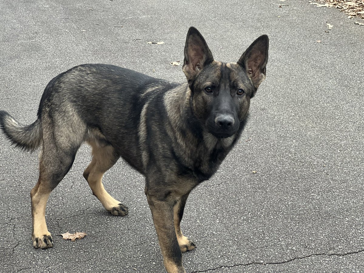 Salty Blonde tweet media