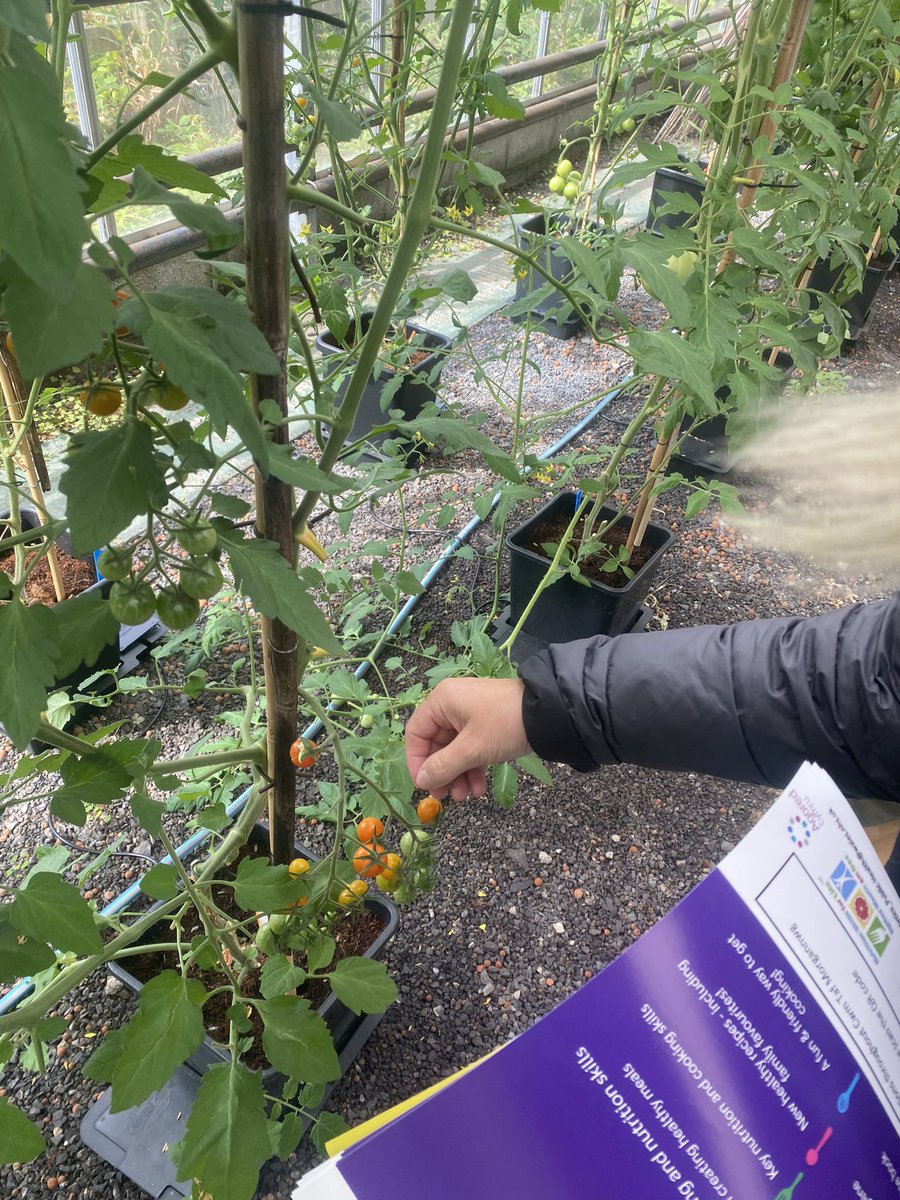 Harriet Rhiannon Hodgson tweet media