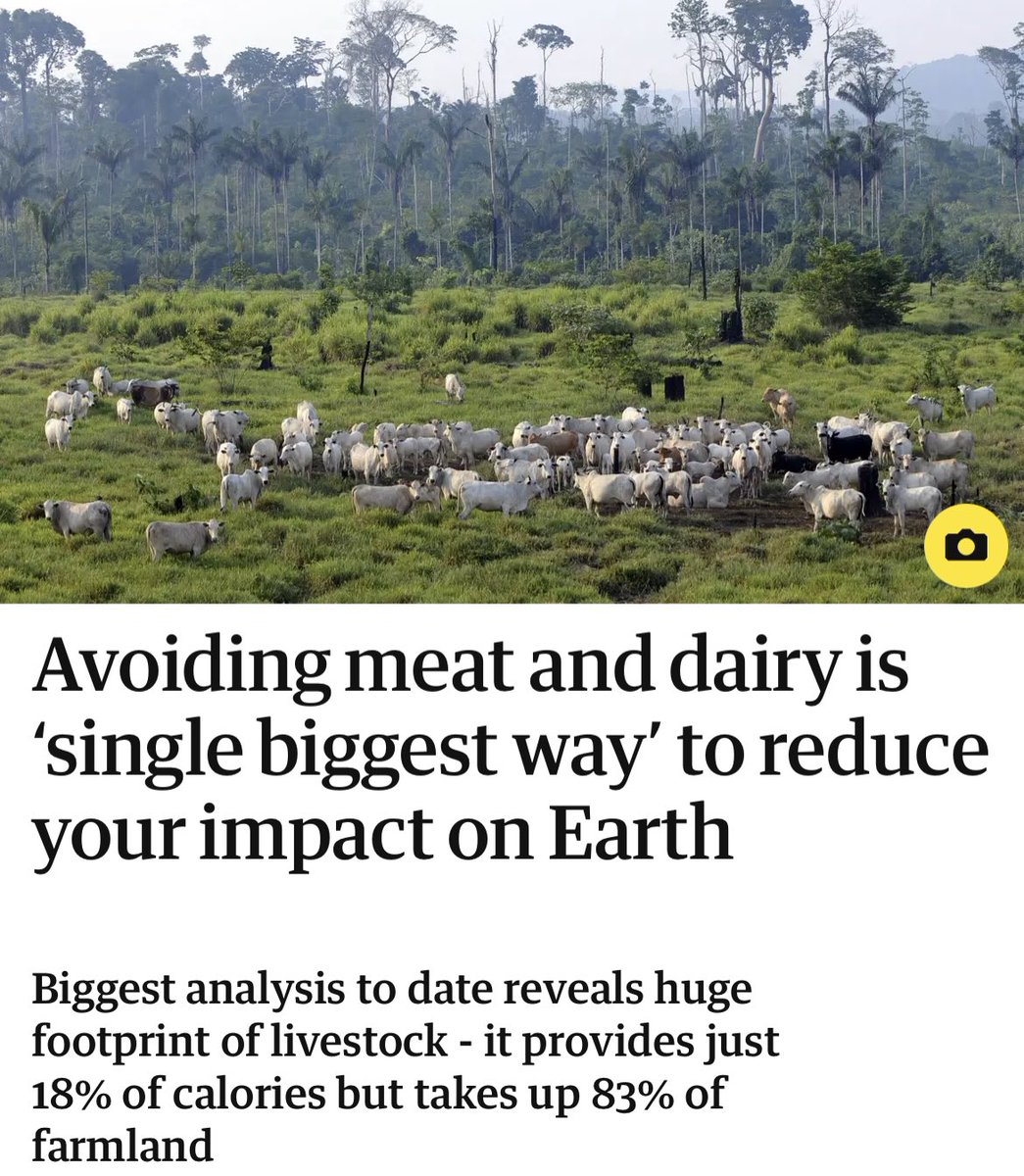 CaringDoctors's tweet image. Doe jij ook al mee!? Eet plantaardig of hoofdzakelijk plantaardig 80% en 20% dierlijk. Een planetair menu dat minder gezondheidsschade en milieuschade geeft. #IPCC #EATLancet #TruePricing