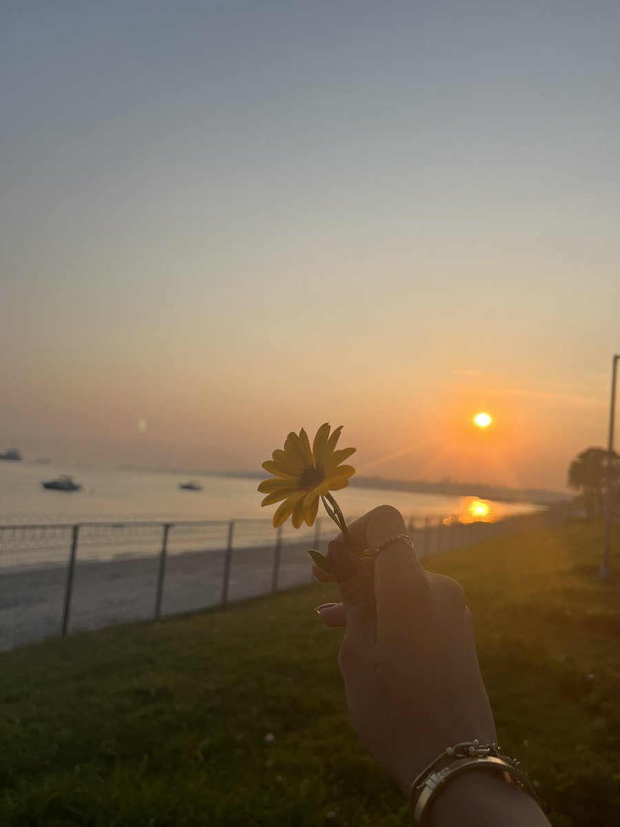 batarken ufuktan bir akşam güneşi..