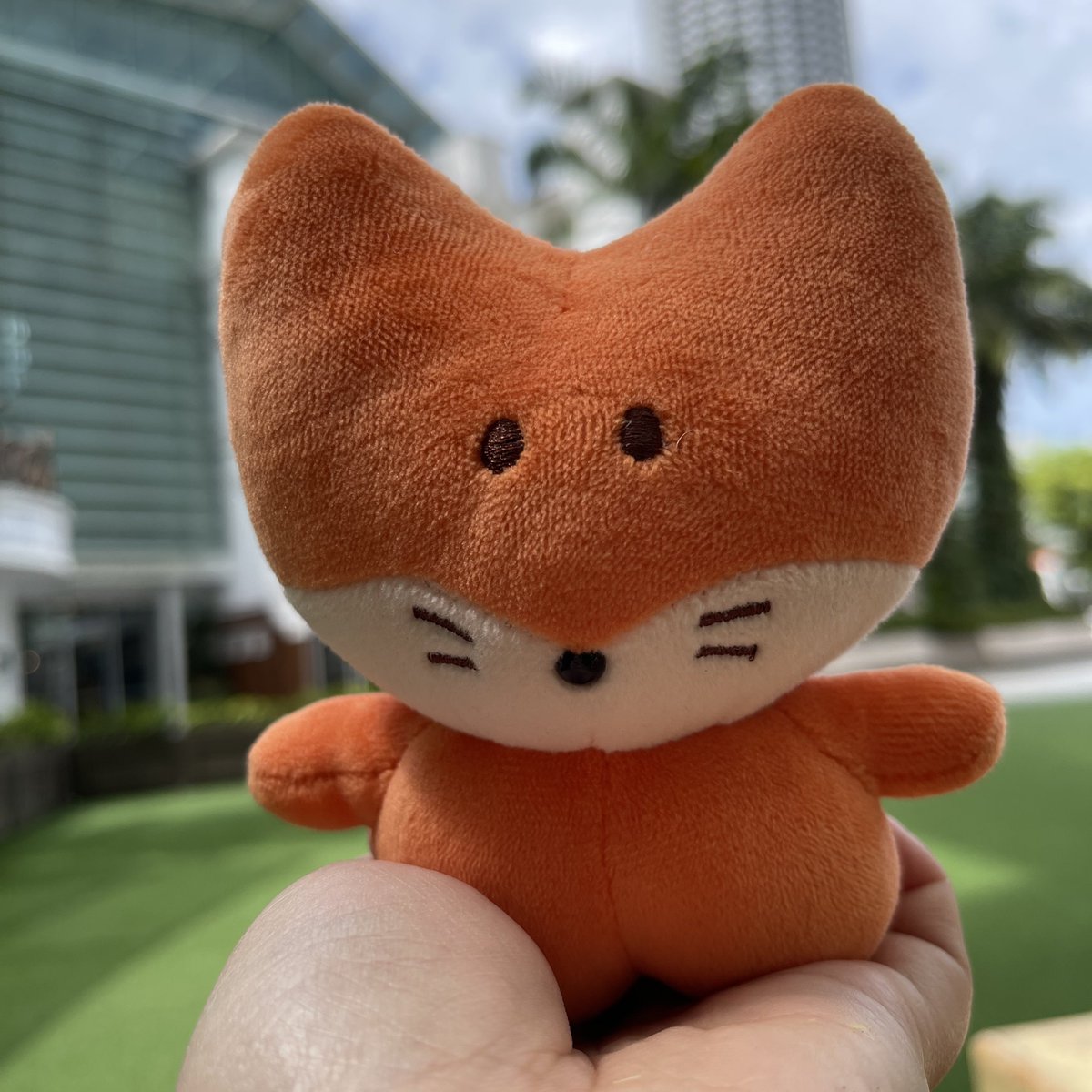 chikorita712's tweet photo. 인성데이 인성시 💛

(the fox cookie is so pretty😭😭😭)
#곧만나_인성아_생일축하해
#HAPPYINSEONGDAY

@SF9official https://t.co/Z3ghAeaD5u
