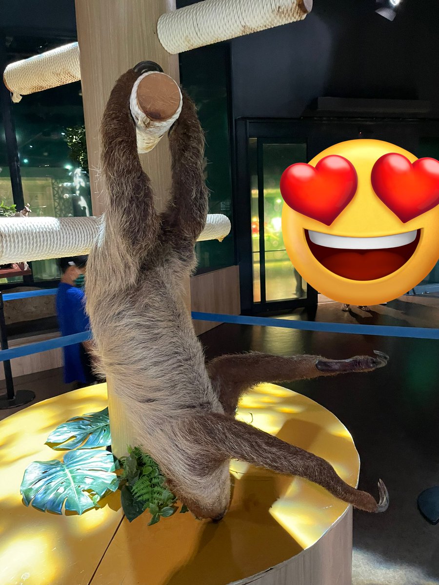 かわよ https://t.co/ADxVjiYbCh