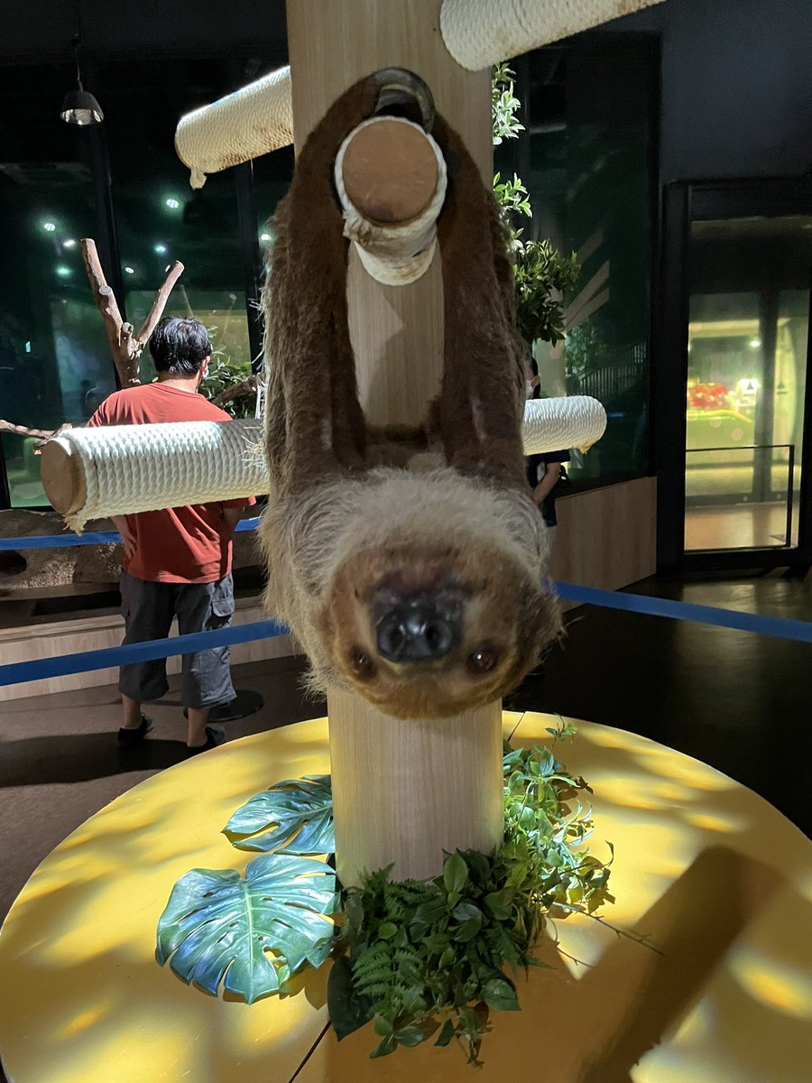 かわよ https://t.co/ADxVjiYbCh