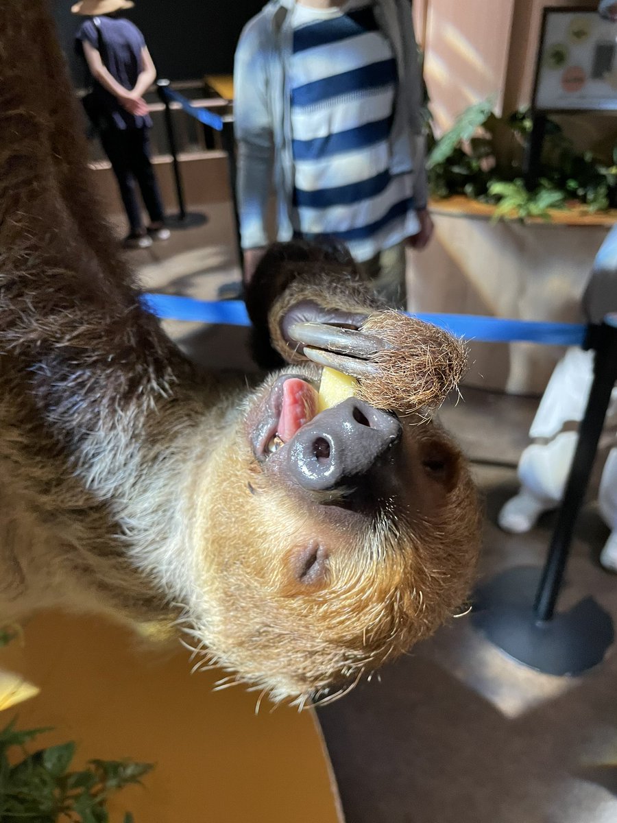 かわよ https://t.co/ADxVjiYbCh