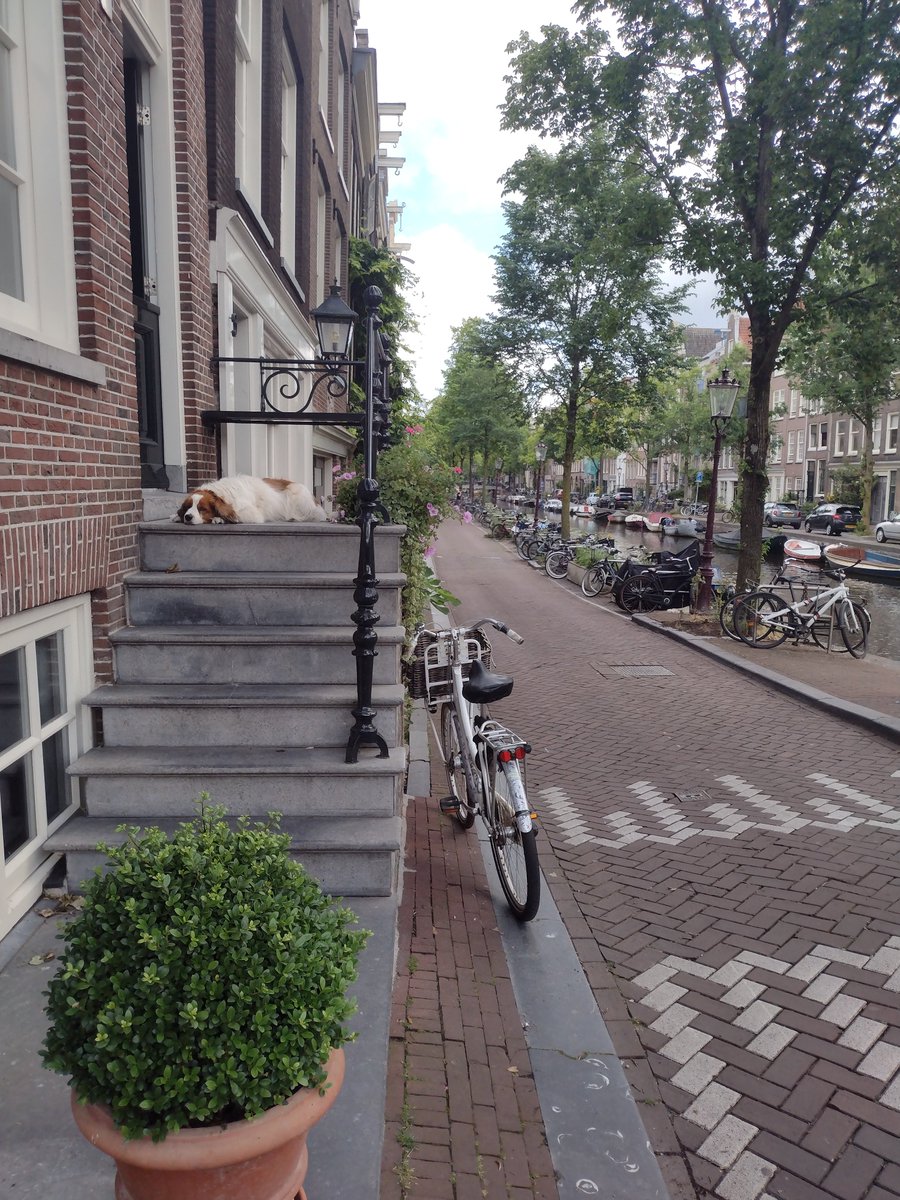 SRadnitz's tweet photo. In Amsterdam and ready to be European for #EWIS with the working group on social media and everyday international relations @lisas_research @chenchenzh https://t.co/I7Mtck8Kuf