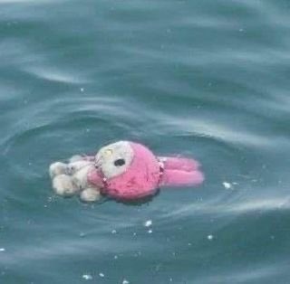 piinkimi_'s tweet image. current mood