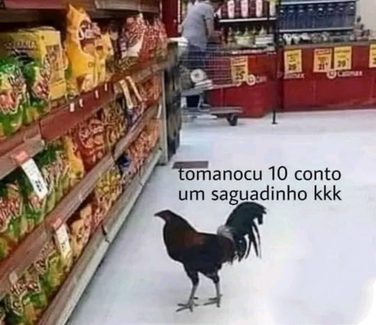 Pérolas dos memes tweet media