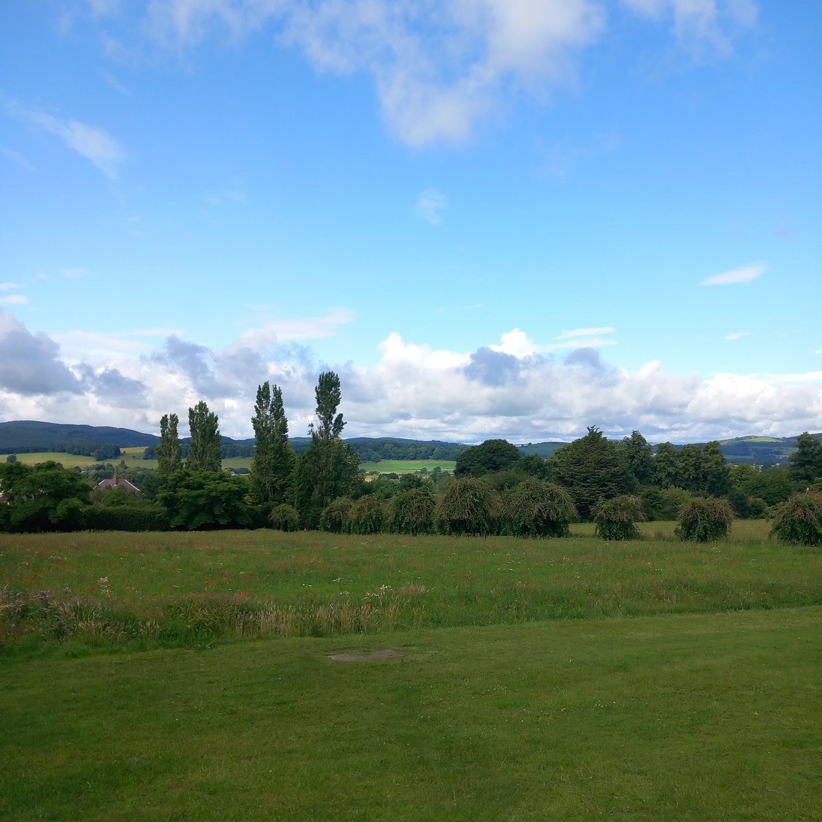 🌷The wildflower meadow at The Crichton is the perfect spot for a post-coffee (or pre-lunch) walk, and it's right on our doorstep. 

Enjoy the fresh air, admire the flowers, or spot the wildlife - whatever takes your fancy! 🪲