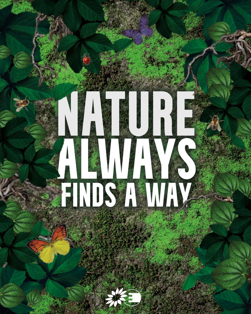 GreensEFA's tweet image. WE DID IT!

We won the battle to save our biodiversity and our climate.

This fight for #NatureRestorationLaw shows that everyone who believes in a future for nature is connected, organised &amp;amp; not giving up lightly.

Together, we'll keep on mobilising to protect climate &amp;amp; nature.