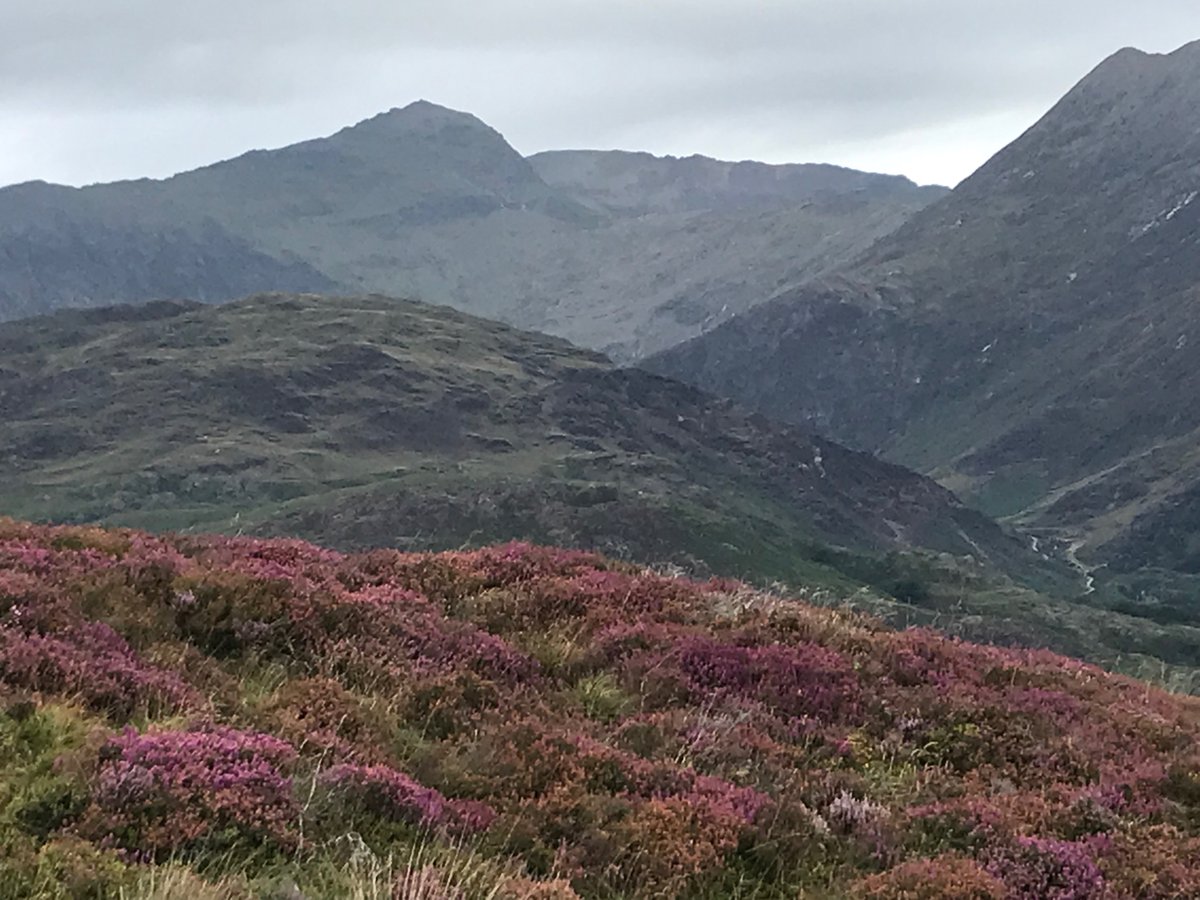 cathbruzzone's tweet photo. @donTonio66 @AnnalisaB 14 gradi, Nant Gwynant, Gwynedd. Venite tutti, abbiamo un bellissimo panorama di Yr Wyddfa, la montagna più alta del Galles. https://t.co/uSFP3x74lv