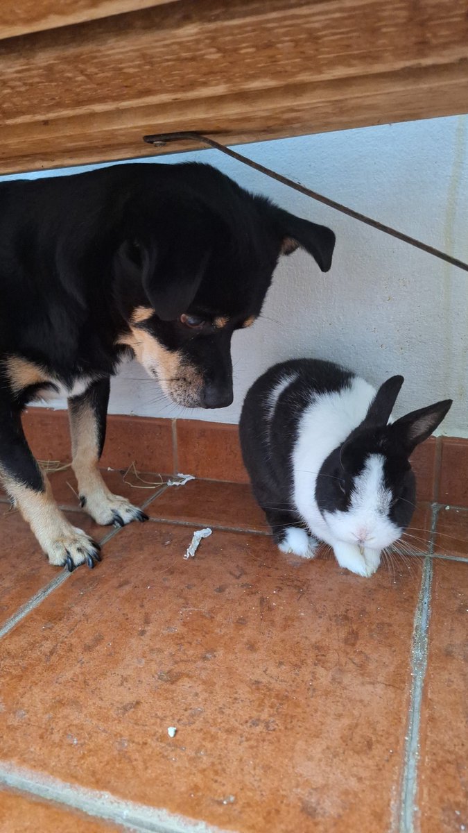 elihdez__'s tweet photo. Mis cositas😭😭 https://t.co/SSN2bhqLBb