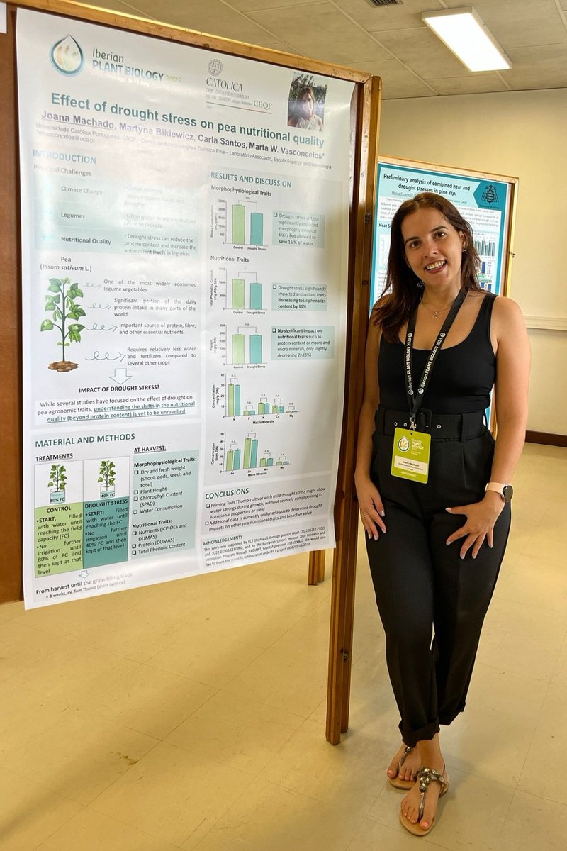 Joana Machado (@joanaffmachado) on Twitter photo My most recent work towards legumes valorization under climate change scenarios is being presented today in the Posters Session Plants Facing Climate Change at <a href="/IberianPB2023/">Iberian Plant Biology</a> 🌱🌍💧 <a href="/carlassantos_/">carla santos</a> <a href="/martawilton/">Marta Vasconcelos</a> <a href="/BiotecCatolica/">Escola Superior de Biotecnologia da Univ. Católica</a> My most recent work towards legumes valorization under climate change scenarios is being presented today in the Posters Session Plants Facing Climate Change at <a href="/IberianPB2023/">Iberian Plant Biology</a> 🌱🌍💧 <a href="/carlassantos_/">carla santos</a> <a href="/martawilton/">Marta Vasconcelos</a> <a href="/BiotecCatolica/">Escola Superior de Biotecnologia da Univ. Católica</a>