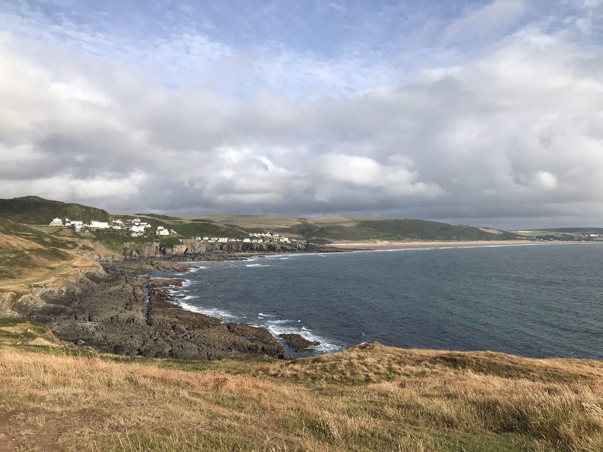 WoolacombeTIC's tweet photo. Yesterday evening we enjoyed a lovely walk around Morte Point. There were hundreds of seabirds, including gannets and cormorants, and lots of seals too! #woolacombe #mortehoe #mortepoint #swcp #lovewherewelive https://t.co/kKxUVjzfG6