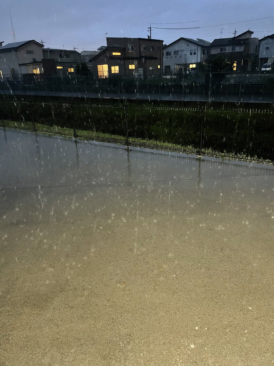 nicchasann's tweet photo. 帰ろうと思ったのに、 https://t.co/cOcee0zAvZ