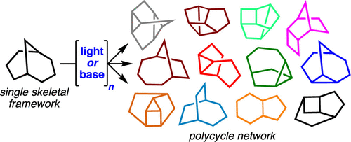 In our last meeting, Albert told us about "A Shapeshifting Roadmap for Polycyclic Skeletal Evolution" by Dean Tantillo, Thomas maimone and co-workers, published in <a href="/J_A_C_S/">J. Am. Chem. Soc.</a>.

This one was quite a ride!

pubs.acs.org/doi/10.1021/ja…