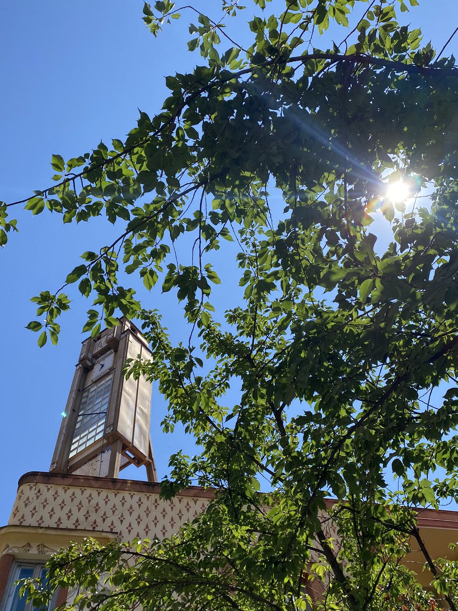 🌞🌴
#CaféPavón #EnElPavón