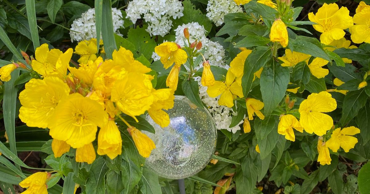 Here's what's new and good at Shakti in the Mountains! Click the link to read this week's newsletter. - mailchi.mp/f39e8606d92e/s…