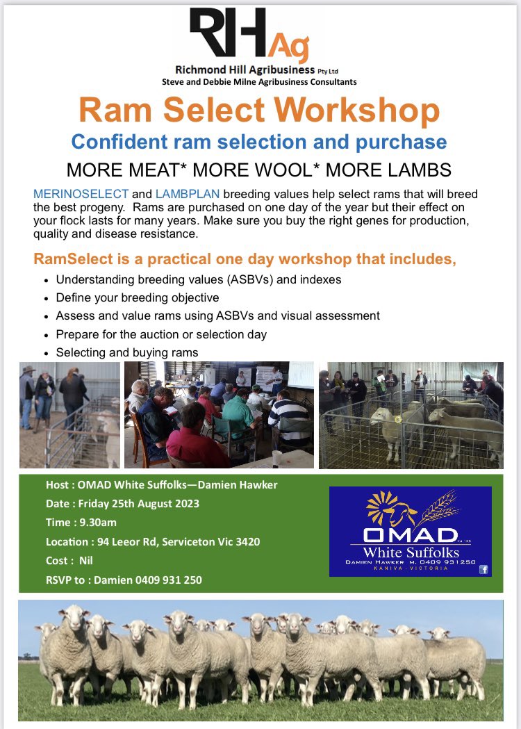 Do the numbers on ram sale day confuse you? 

Want to learn more about the data to improve your business? 

Save the date - Friday 25th August 
All welcome to come along and gain a better understanding of the ASBVs

RSVP essential.