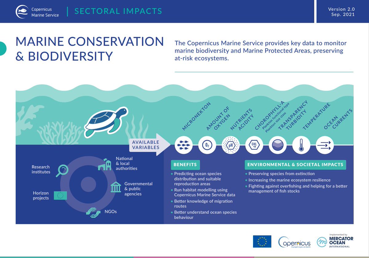 #CopernicusMarine for #MarineConservation

Around8⃣% of the #ocean is safeguarded by Marine Protected Areas (MPAs) to preserve #biodiversity and protect ecosystems🪸🐠

Our #CopernicusMarine Service offers key #OceanData to assist in the development of #MPAs 🌊