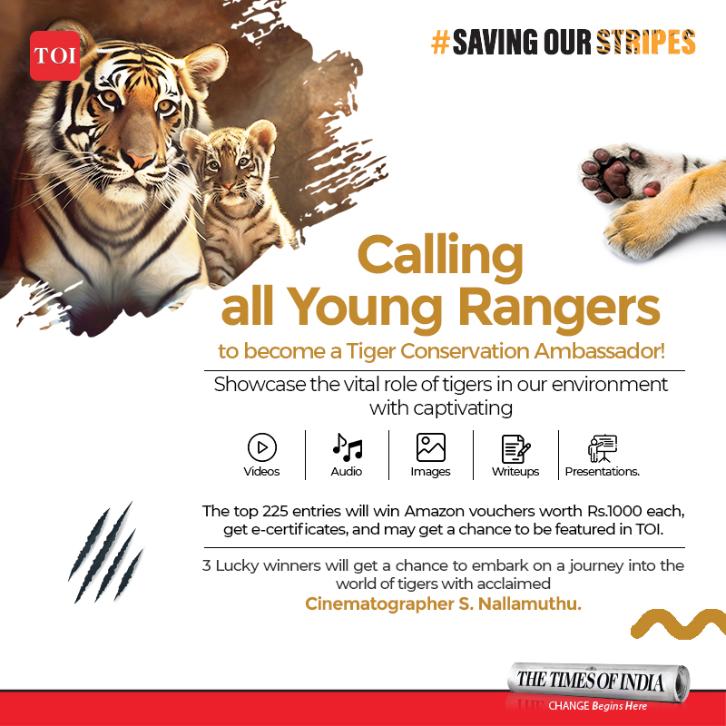 Dear Students, create a gripping presentation on how tigers play a key role in our ecosystem and economy through video, audio, slideshow, photo, or write-up. The top 225 entries will win Amazon vouchers worth Rs 1000, get e-certificates, and have a chance to feature in the Times