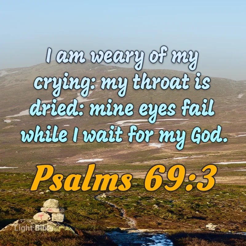 DorisBa75169461's tweet photo. Good morning everyone have a blessed day. https://t.co/Goh3dW7ubx