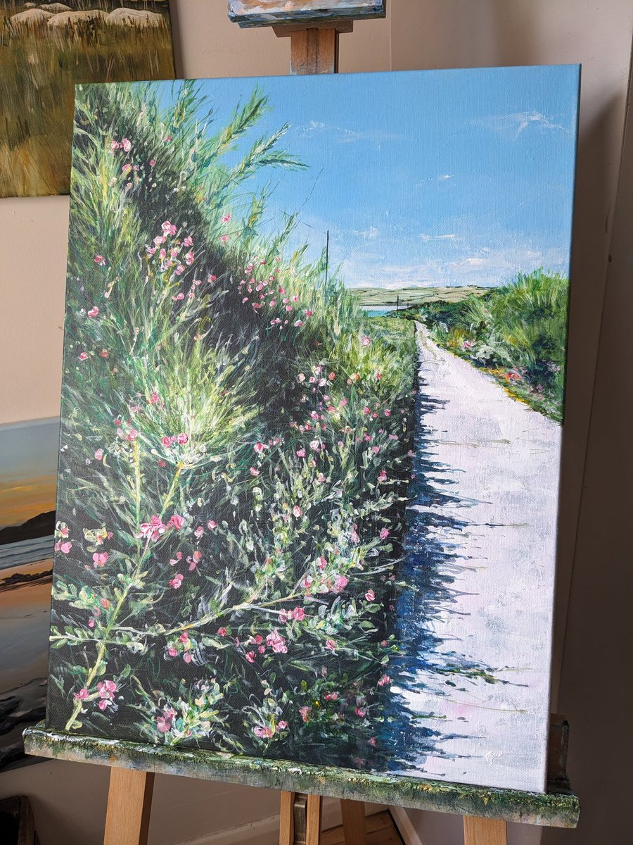 Wildflower Path to Daymer Bay, Trebetherick, Cornwall 
Acrylic on canvas
18x24'
£320
.
.
#trebetherick #cornwall #daymerbay #ArtistOnTwitter