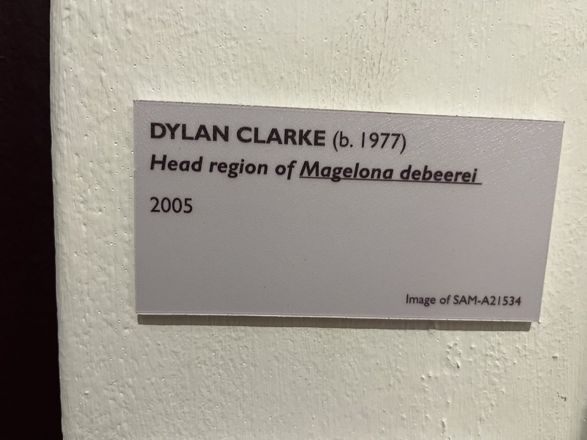 How cool is this - marine bristleworms on display in an art gallery! I love the concept of blurring the lines between art and nature. So many things in the natural world are beautiful and deserving of a place on the wall. Well done <a href="/Iziko_Museums/">Iziko_Museums</a> 👏🏻 #WormWednesday #Annelida