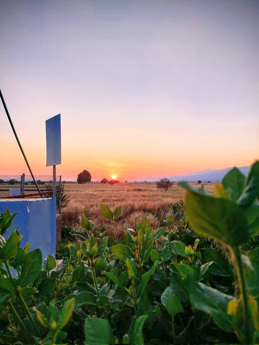 eprestigenft's tweet photo. Sundown #Nfts

https://t.co/BkjCh06ulb 

#NFTGiveaways #NFTGiveaway #NFTCommuntiy #NFTMarketplace #nftcollectors #NFTdrop #NFTdrops #rocknroll #NFTcollections #nftbuyers #NFTCommmunity #nftart #NFTartist #nft #NFTbuyers #NFTBot #NFTcollections #NFTs #NFTCollection  #NFT #nfts https://t.co/xXjiOipngD