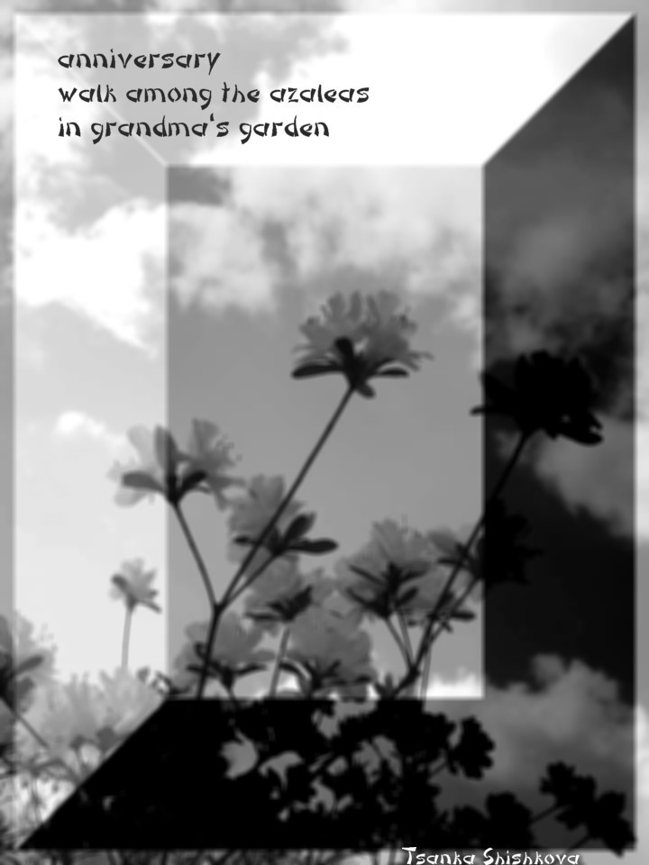 ShishkovaTsanka's tweet photo. anniversary
walk among the azaleas
in grandma's garden
...
#haiga #family #annivery
BLACK & WHITE HAIGA/HAISHA: Tsanka Shishkova https://t.co/sq1Z913lul https://t.co/AZOw9cM874
