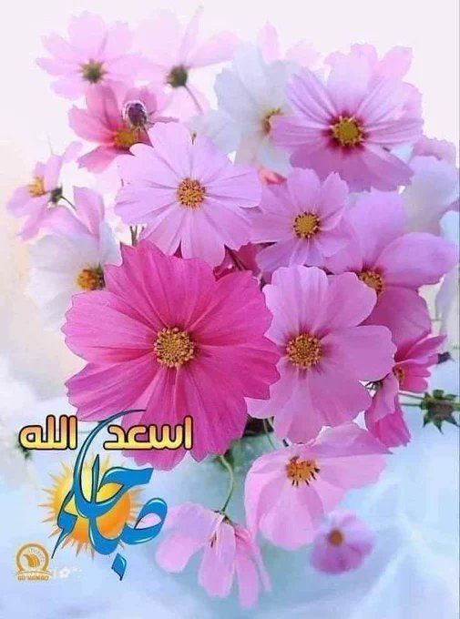 m409_1's tweet photo. اللهم انت الميسر وانت المسهل
  سهل امري وحقق مطلبي 
اللهم  لا تبتليني بمن احب بعداً ولا فقداً
  ولا حزناً ولا مرضاً 
اللهم اني اعوذ بك من عينٍ تصيب القلب فتحزنه والرزق فتنقصه والبال فتتعبه والنجاح فتفشله
 اللهم اخرجي من اشد الضيق الي اوسع الفرج https://t.co/ILMFCCc7Ic