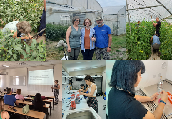 Agricultural Entomology tweet media