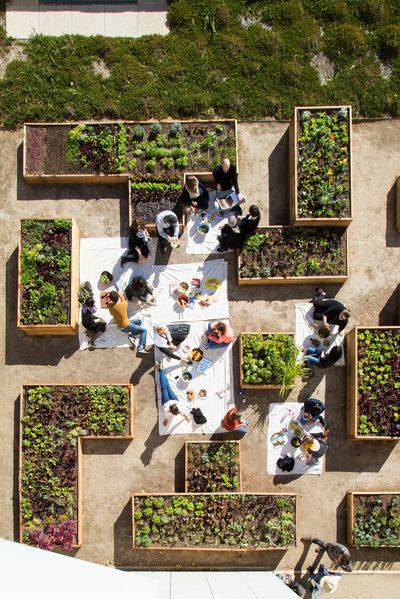 RohaDaud's tweet photo. Rooftop gardens are a game-changer for urban cities, providing cooling effects &amp; boosting community well-being. Real estate developers have a massive opportunity to transform underutilized rooftops &amp; address multiple modern-day climate change + public health challenges. 👩‍🌾🌴

🧵 https://t.co/Ng5Poszbxo
