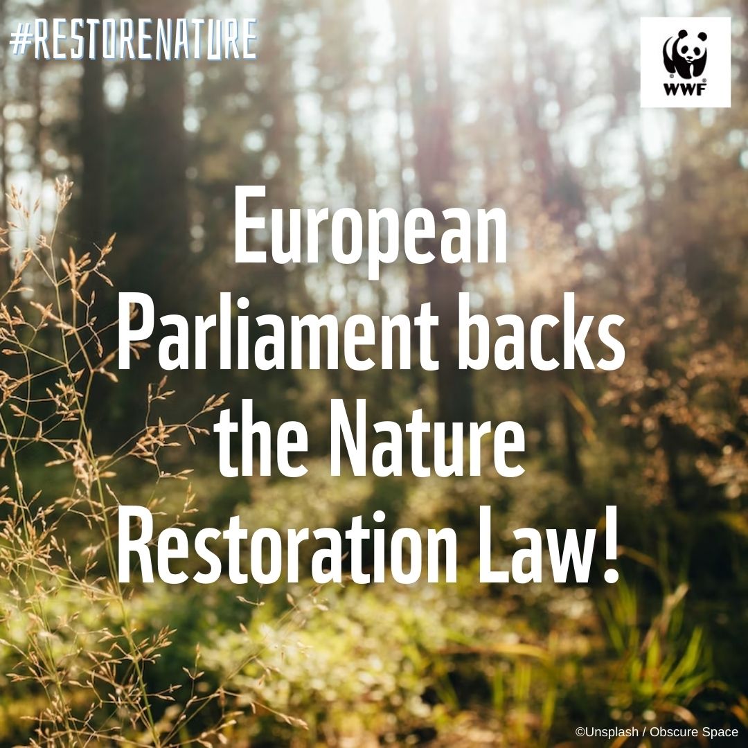 📢BREAKING: European Parliament backs the Nature Restoration Law! MEPs have chosen to listen to European citizens and scientific facts instead of disinformation & lies. Let’s #RestoreNature all around Europe!