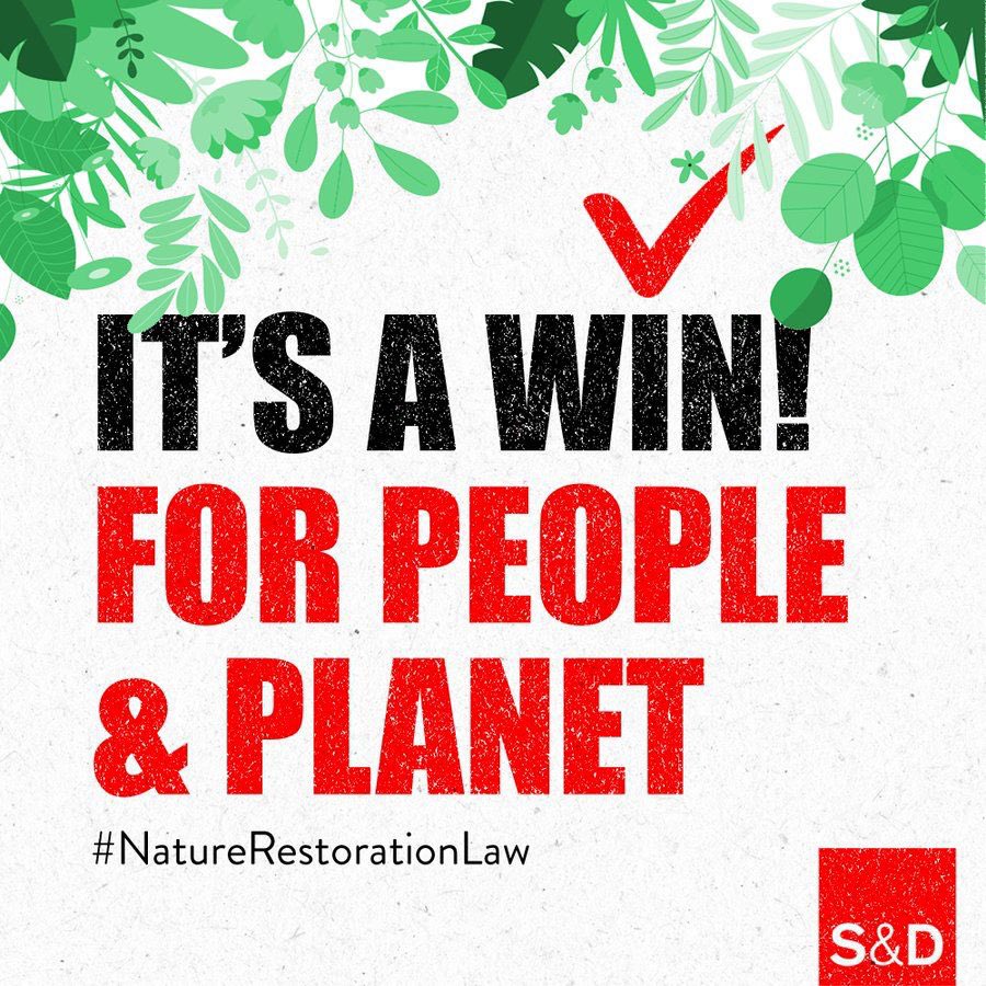 Attje Kuiken tweet media