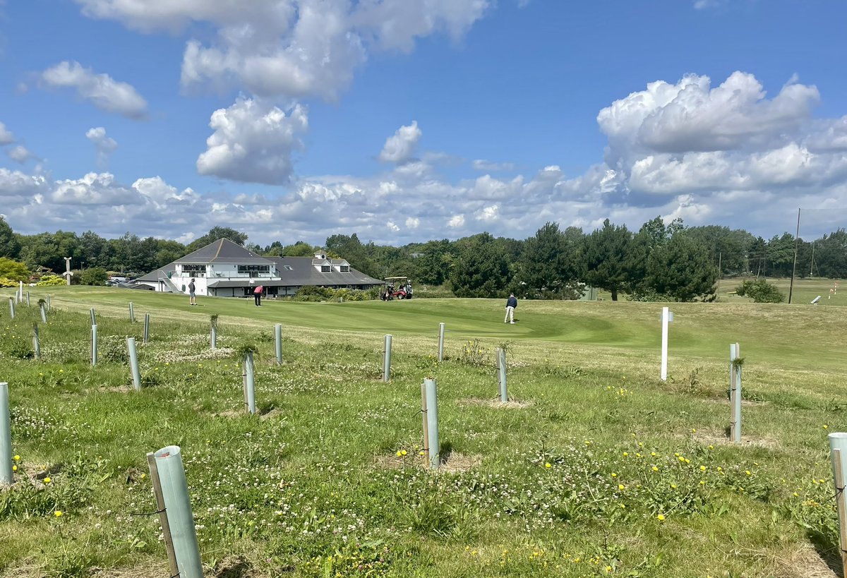Last year with the help of the @woodlandtrust we planted 1,600 trees, these, along with the thousands of trees we have planted previously, are just one small part of our commitment to helping our planet as we enter the #anthropocene epoch.

🔗stonelees.com/teetimes 

#golfnature