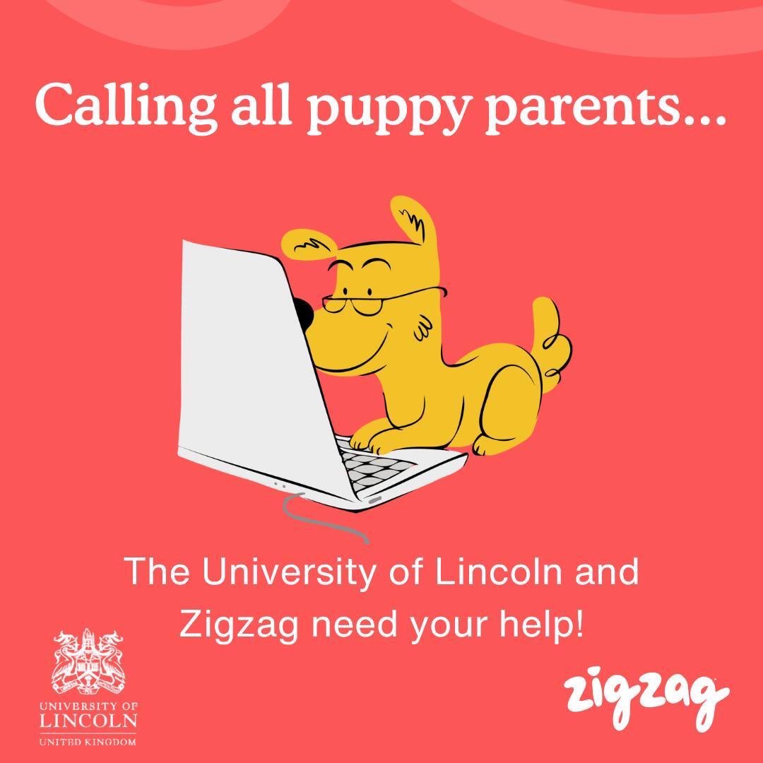 halfpint1775's tweet photo. Please support this global survey to help us understand more about puppy development. For all dogs up to 2 years of age. 

https://t.co/y248VAcvJm https://t.co/H1oQ9q7eWZ