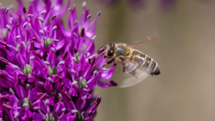 MdM_LeSoir's tweet photo. Restauration de la #nature: la proposition initiale de la Commission a été affaiblie - comme au Conseil - mais son adoption par le Parlement européen est une défaite pour le patron du PPE qui a mené une campagne particulièrement agressive sur le sujet #planète #biodiversité https://t.co/rc7IeQcZ3s