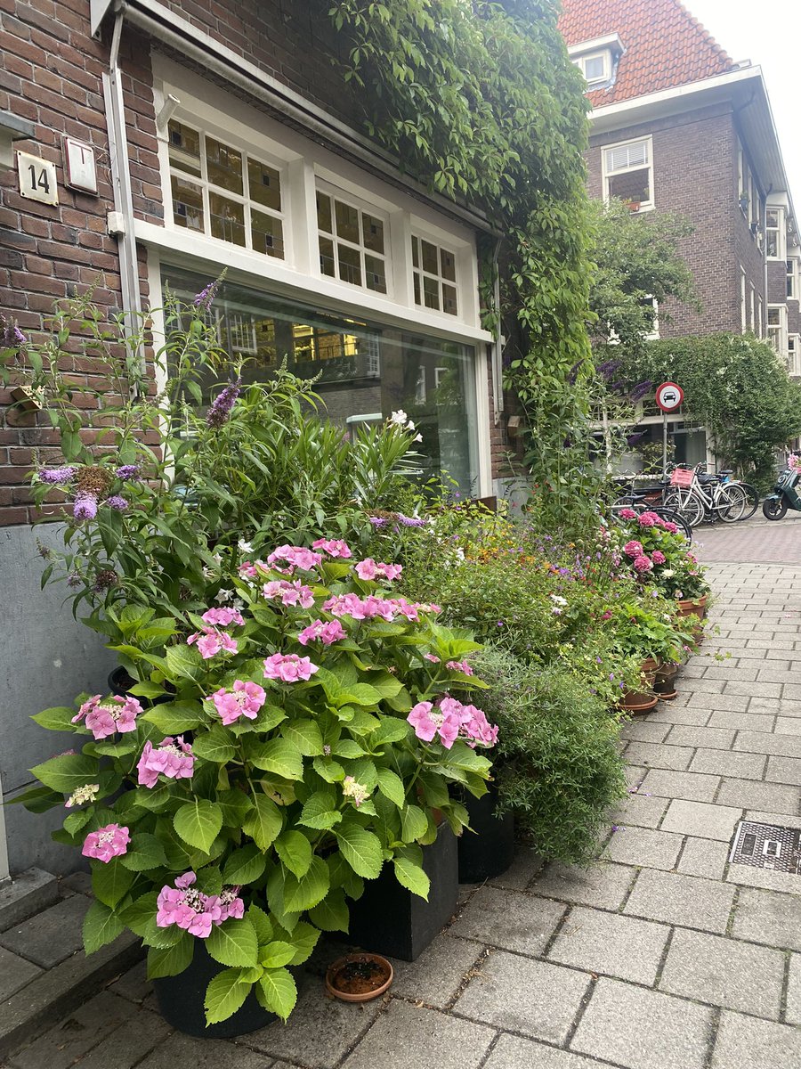 I love how Dutch people put plants around their houses. 

Our neighborhood. 💚