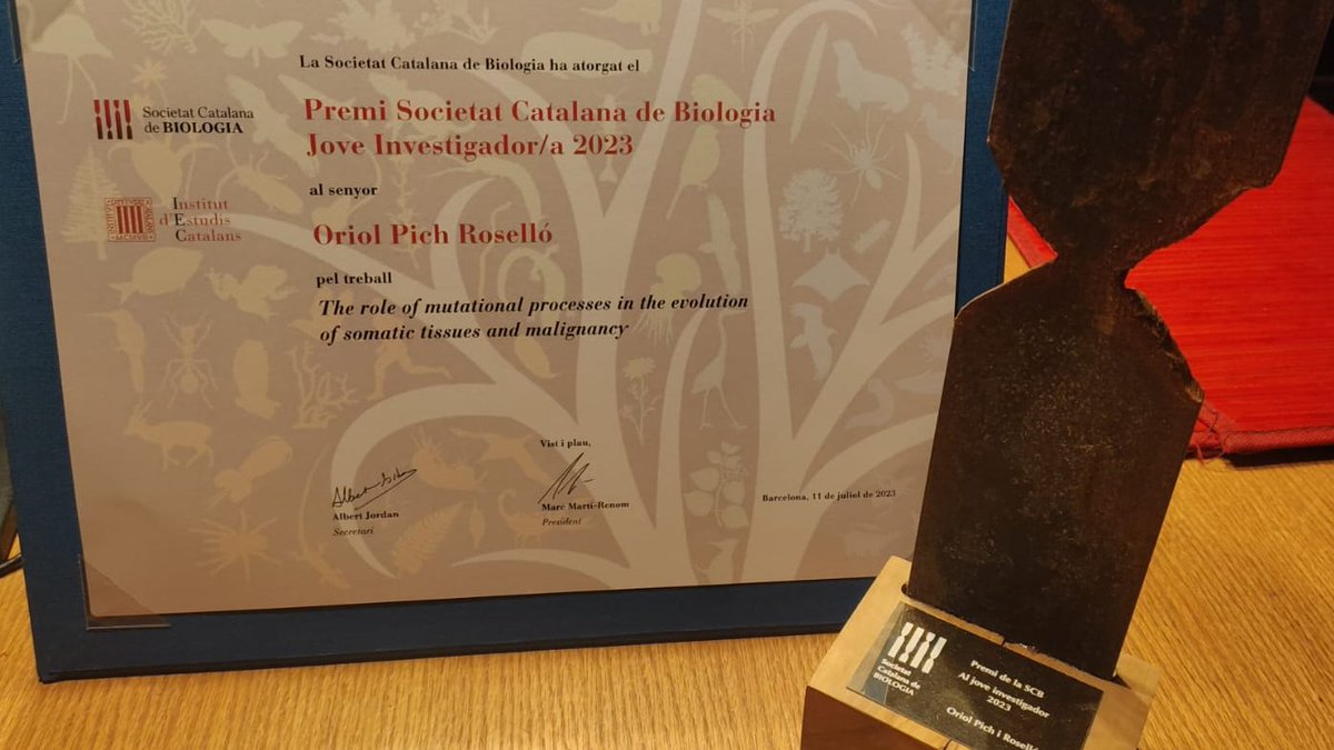 Oriol Pich (@oriol_pich) on Twitter photo Molt content de rebre el premi de Jove Investigador de la Societat Catalana de Biologia <a href="/SCB_iec/">Societat Catalana de Biologia</a> ! 😃🥳
Moltes gràcies pel reconeixement i per donar suport a la recerca que fem a casa. Gràcies també a la <a href="/nlbigas/">Nuria Lopez-Bigas</a> i a l'<a href="/abel_gonzalezp/">abeldavidgp</a> per la guia i la confiança🤗🙏🏾 Molt content de rebre el premi de Jove Investigador de la Societat Catalana de Biologia <a href="/SCB_iec/">Societat Catalana de Biologia</a> ! 😃🥳
Moltes gràcies pel reconeixement i per donar suport a la recerca que fem a casa. Gràcies també a la <a href="/nlbigas/">Nuria Lopez-Bigas</a> i a l'<a href="/abel_gonzalezp/">abeldavidgp</a> per la guia i la confiança🤗🙏🏾
