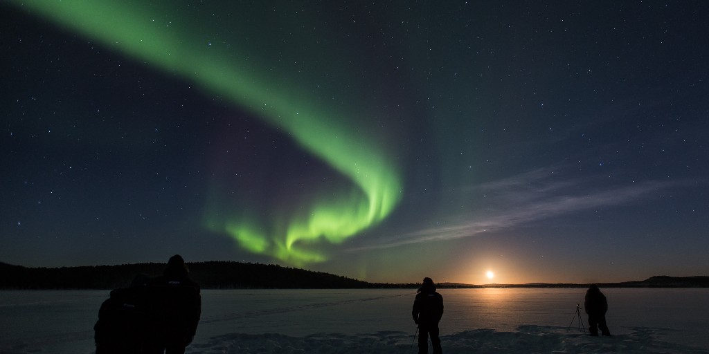 ArcticDirect's tweet photo. Wishful Wednesday! Longing to see the Northern Lights?
Find more details here: https://t.co/tvvFTPLdrg
#wishfulwednesday #northernlights #auroraborealis #finland #nellim #bucketlist #worldwonder
Photo Credit: Nellim Wilderness Hotel https://t.co/KQPMuCxznb