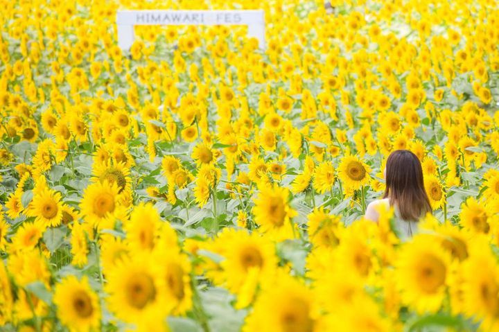 くふうトリップ公式（旧RETRIP） tweet media
