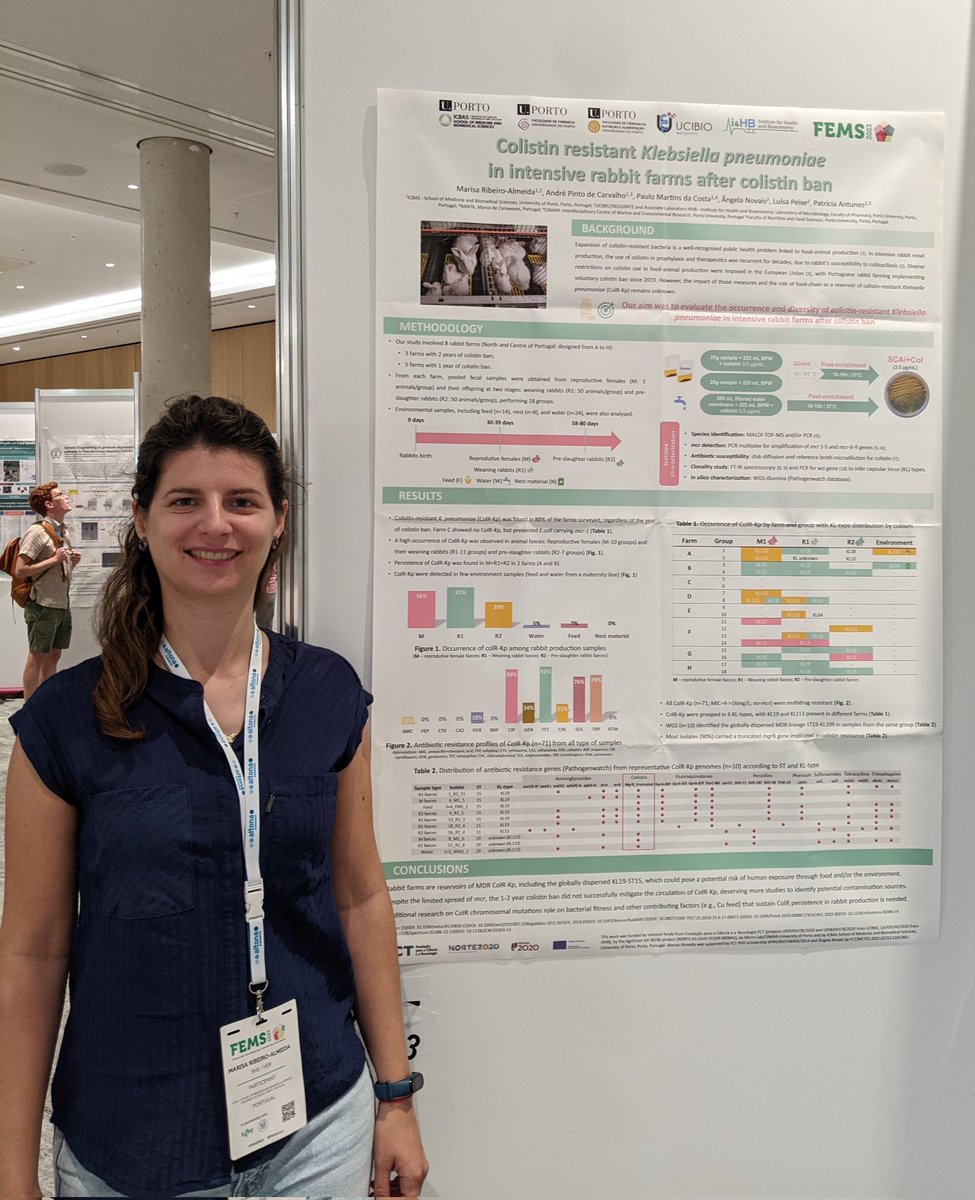 Visit our poster and learn more about colistin resistant K. pneumoniae on rabbits W333 @FEMSmicro Hamburgo #FEMS2023 @BacTdrugs_lab @ICBAS_UPorto @UCIBIO_Research