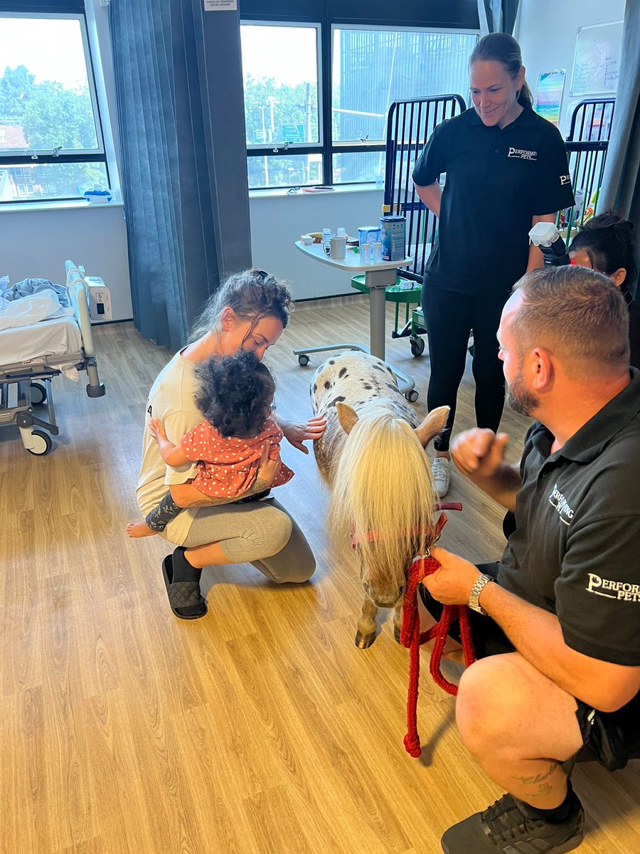 NM_Playteam's tweet photo. It was so great to seeing @performing_pets bringing in a miniature horse in to see the children on Starlight ward 🌟
Brought lots of smiles and laughter to both staff and children
#playteam #playinhospital #pettherapy #performingpets https://t.co/nrLJxJW9sy