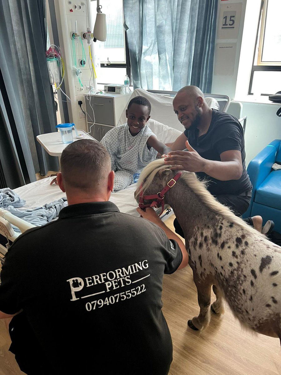 NM_Playteam's tweet photo. It was so great to seeing @performing_pets bringing in a miniature horse in to see the children on Starlight ward 🌟
Brought lots of smiles and laughter to both staff and children
#playteam #playinhospital #pettherapy #performingpets https://t.co/nrLJxJW9sy
