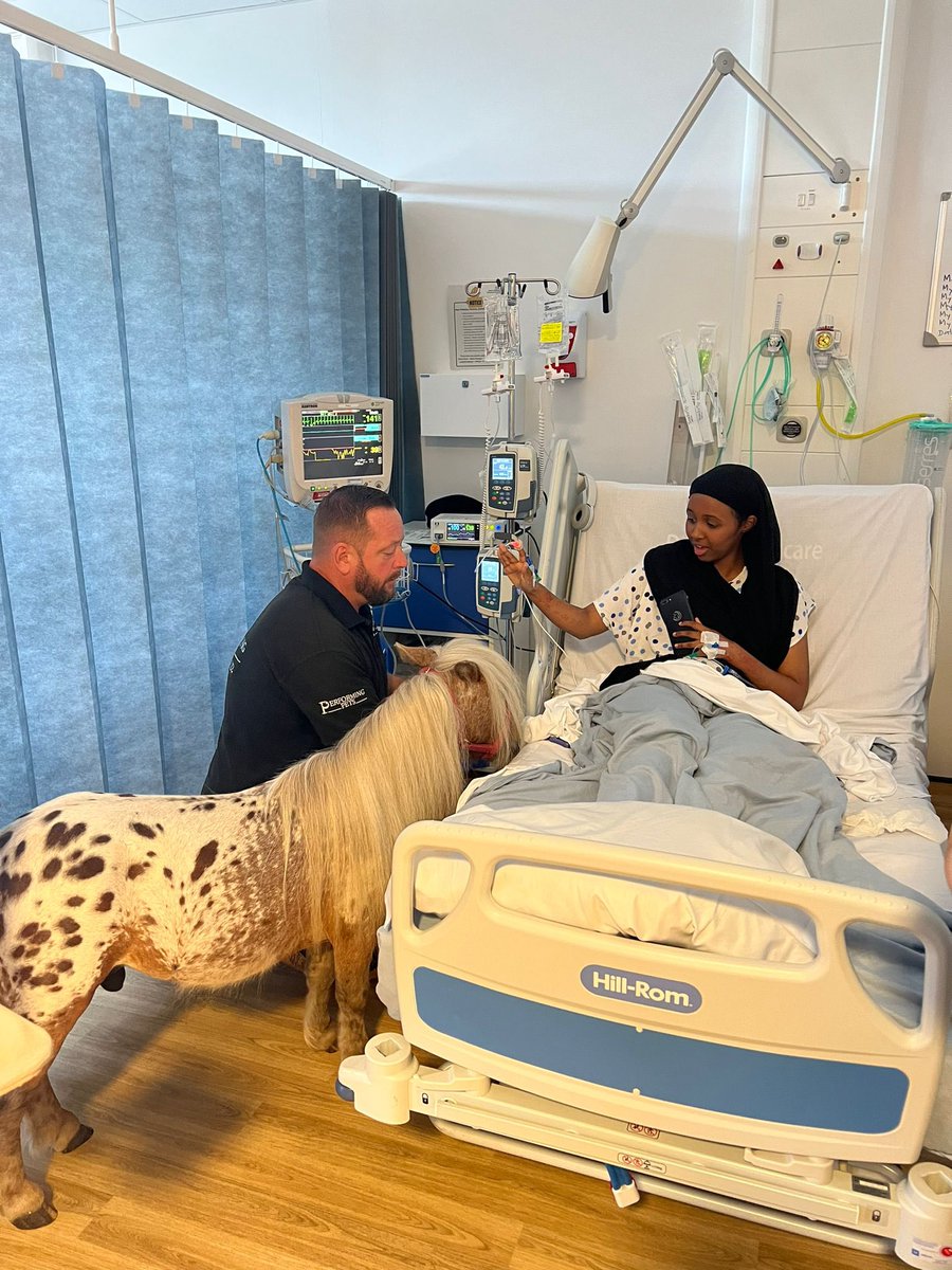 NM_Playteam's tweet photo. It was so great to seeing @performing_pets bringing in a miniature horse in to see the children on Starlight ward 🌟
Brought lots of smiles and laughter to both staff and children
#playteam #playinhospital #pettherapy #performingpets https://t.co/nrLJxJW9sy
