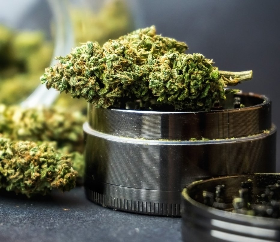 NFT Gang tweet media