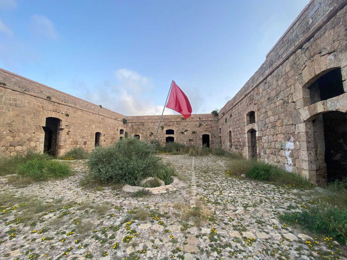 Alberto Rodriguez Segundo tweet media